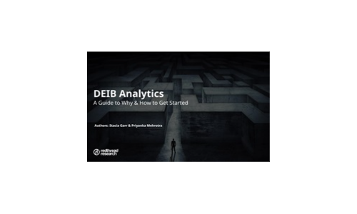 Deib Analytics Una guida al perché e come iniziare